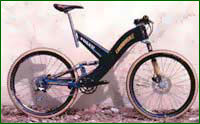 cannondale raven